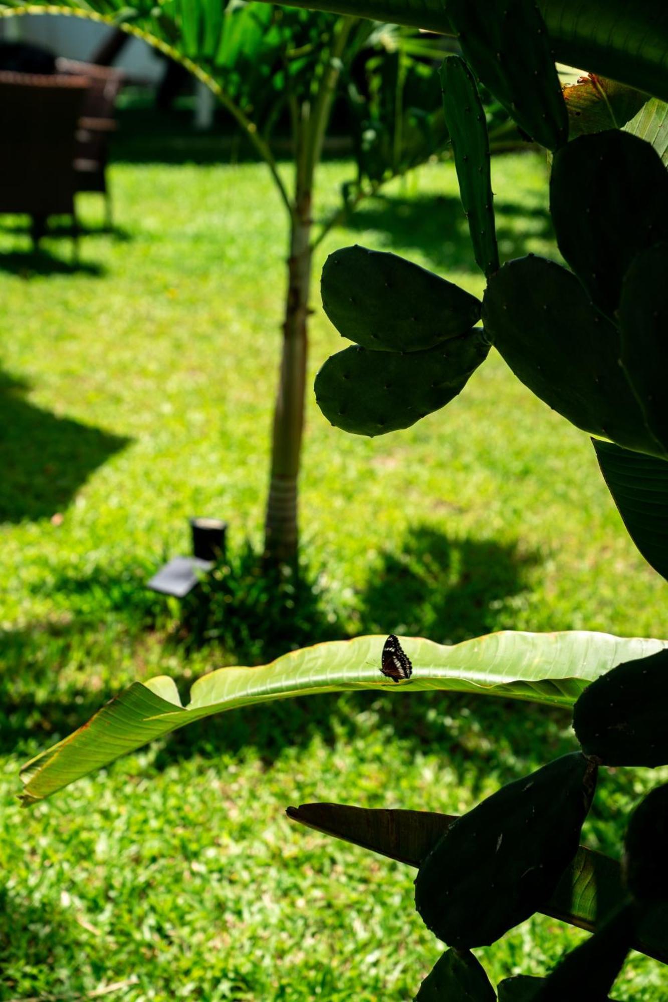 Koh Samui Resort Villa Giacomelli Taling Ngam Beach Esterno foto
